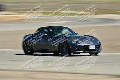 media/May-24-2025-Turn8 Trackdays (Sat) [[034586b55d]]/4 Inter 2/Session 2 (Cotton Corners-Grapevine)/